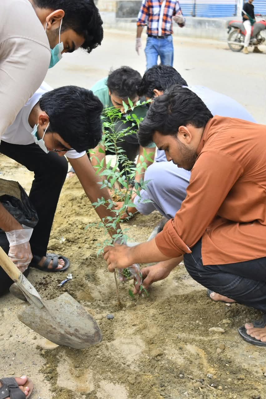 7. Plantation Drives